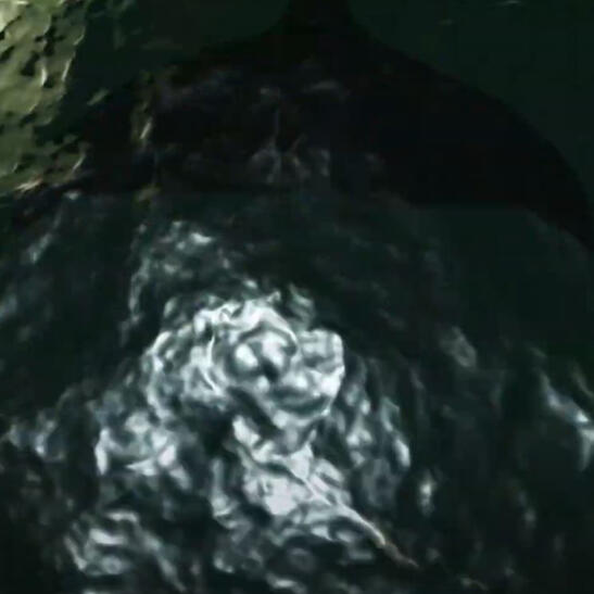 Untitledhttps://www.youtube.com/watch?v=jOV0dHO95rc